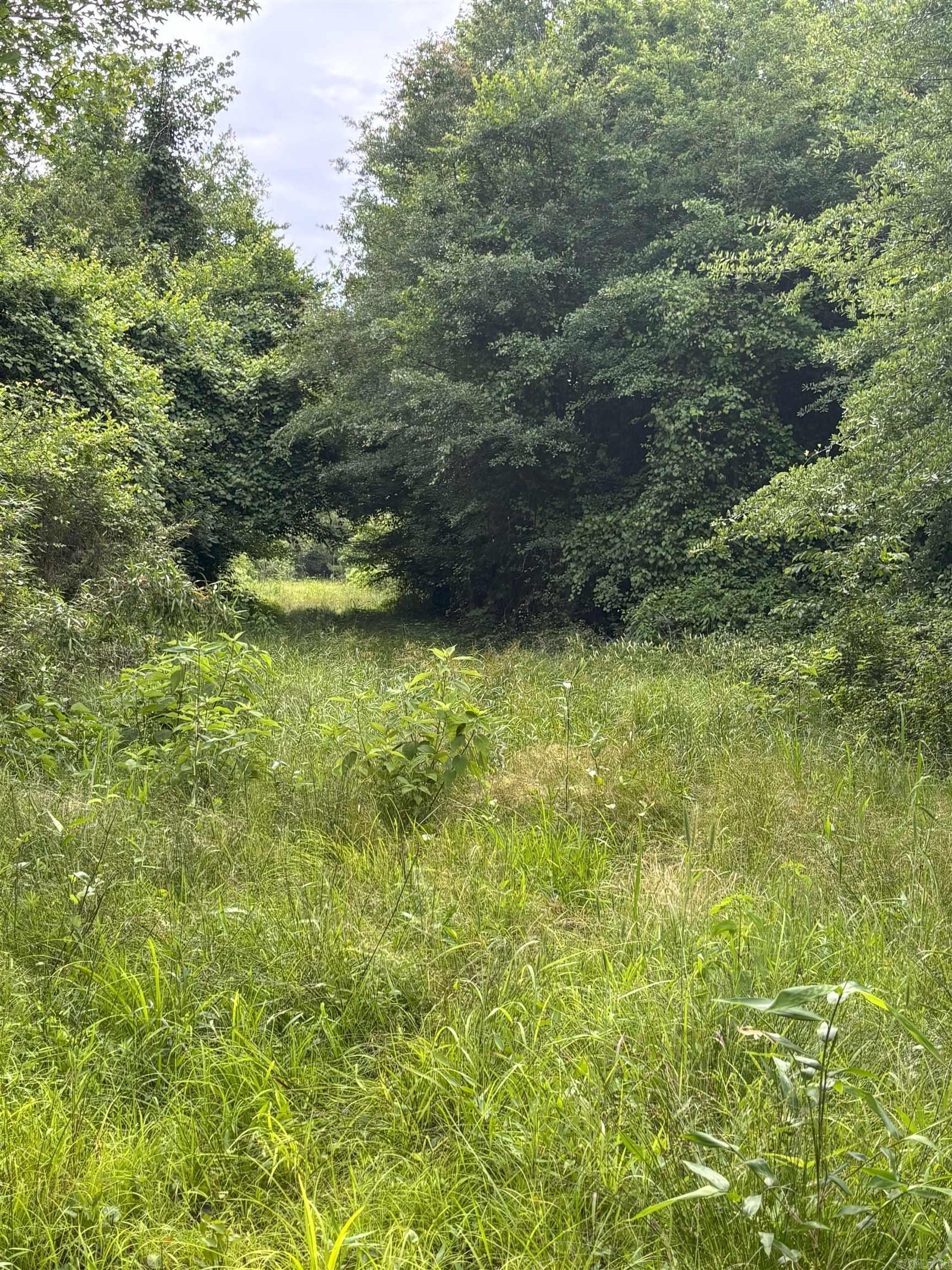 3400 Us-278 Highway Property Photo 9