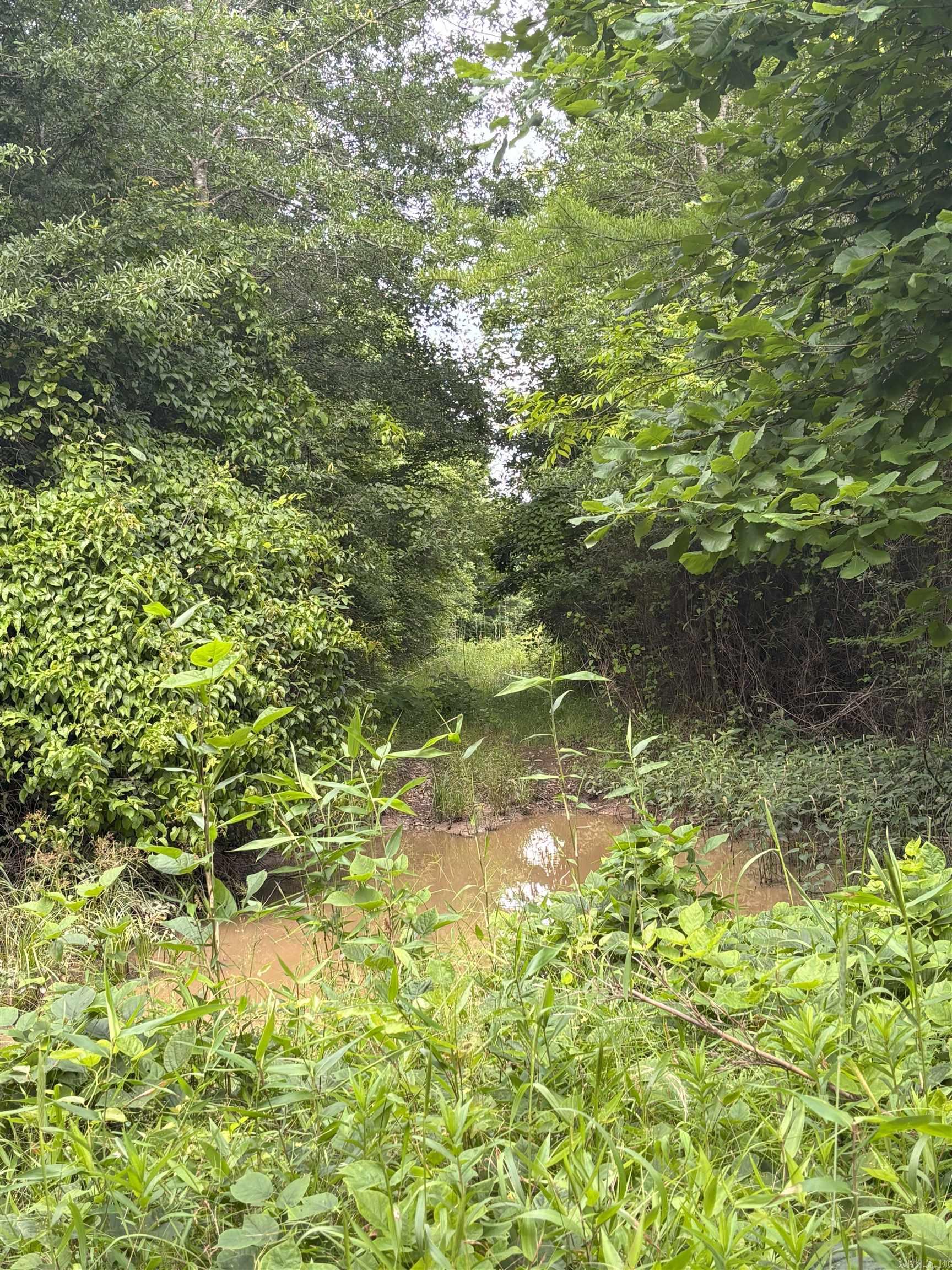 3400 Us-278 Highway Property Photo 10