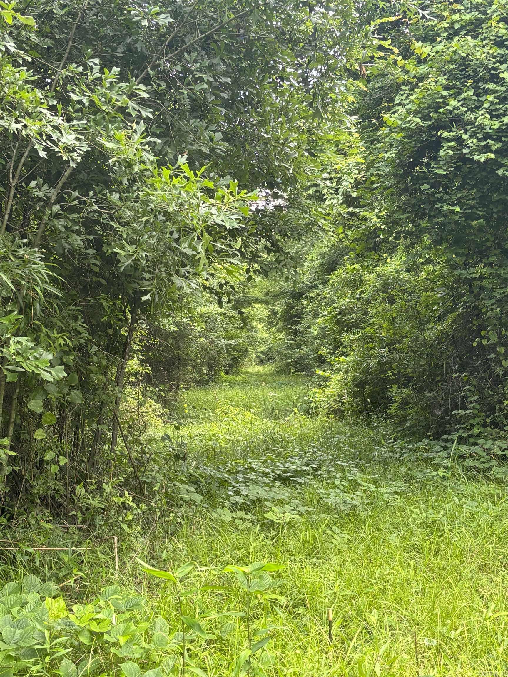 3400 Us-278 Highway Property Photo 11