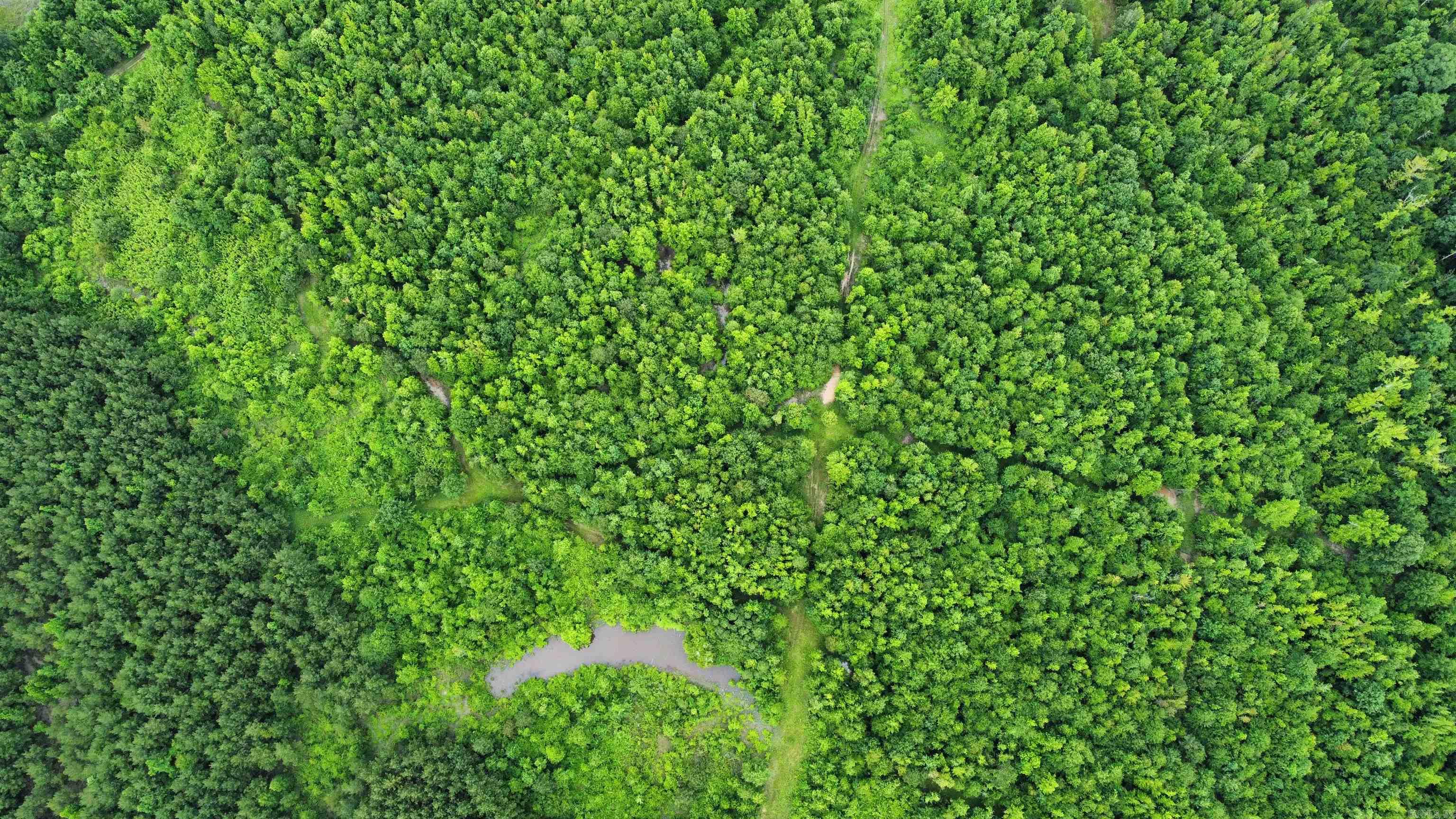 3400 Us-278 Highway Property Photo 19