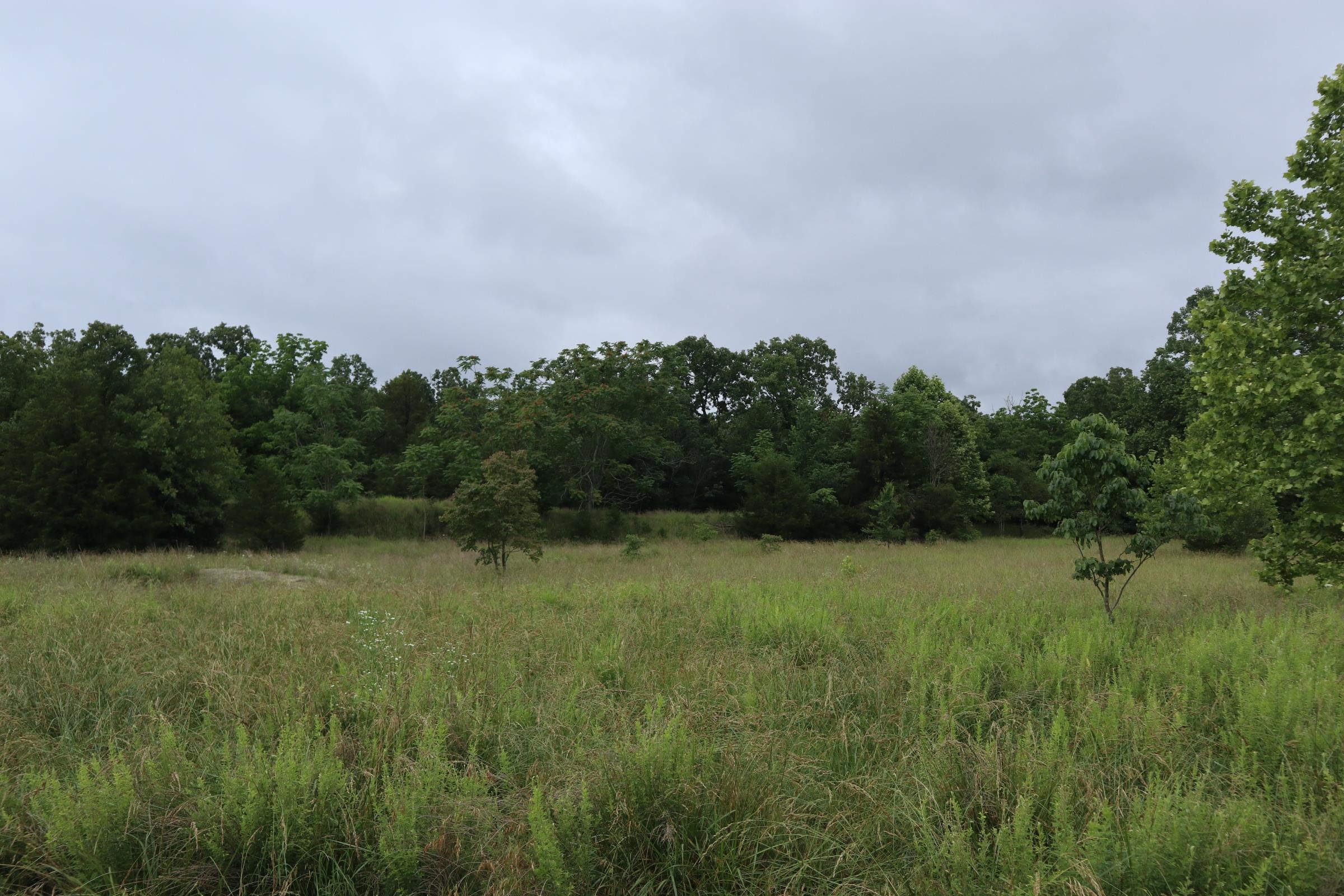 Tbd Hwy 9 S Property Photo 5