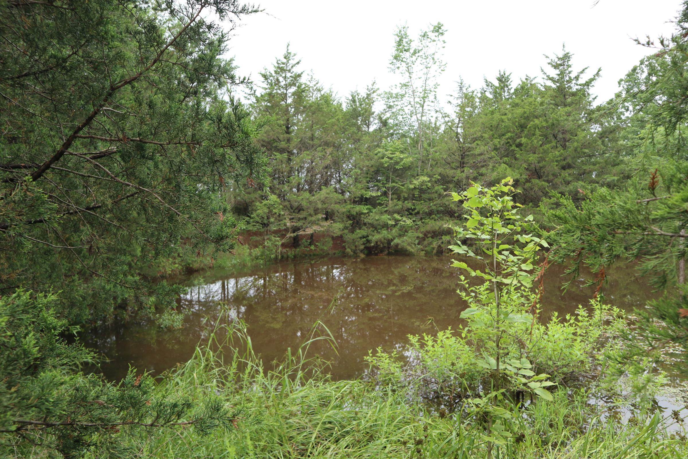 Tbd Hwy 9 S Property Photo 6