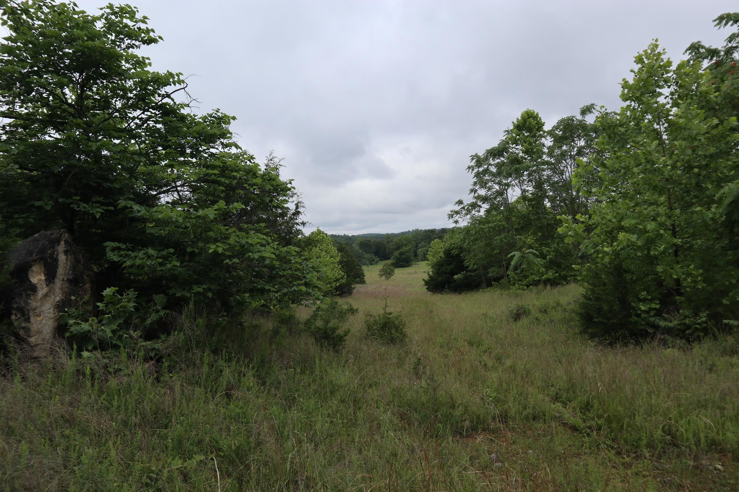 Tbd Hwy 9 S Property Photo 9