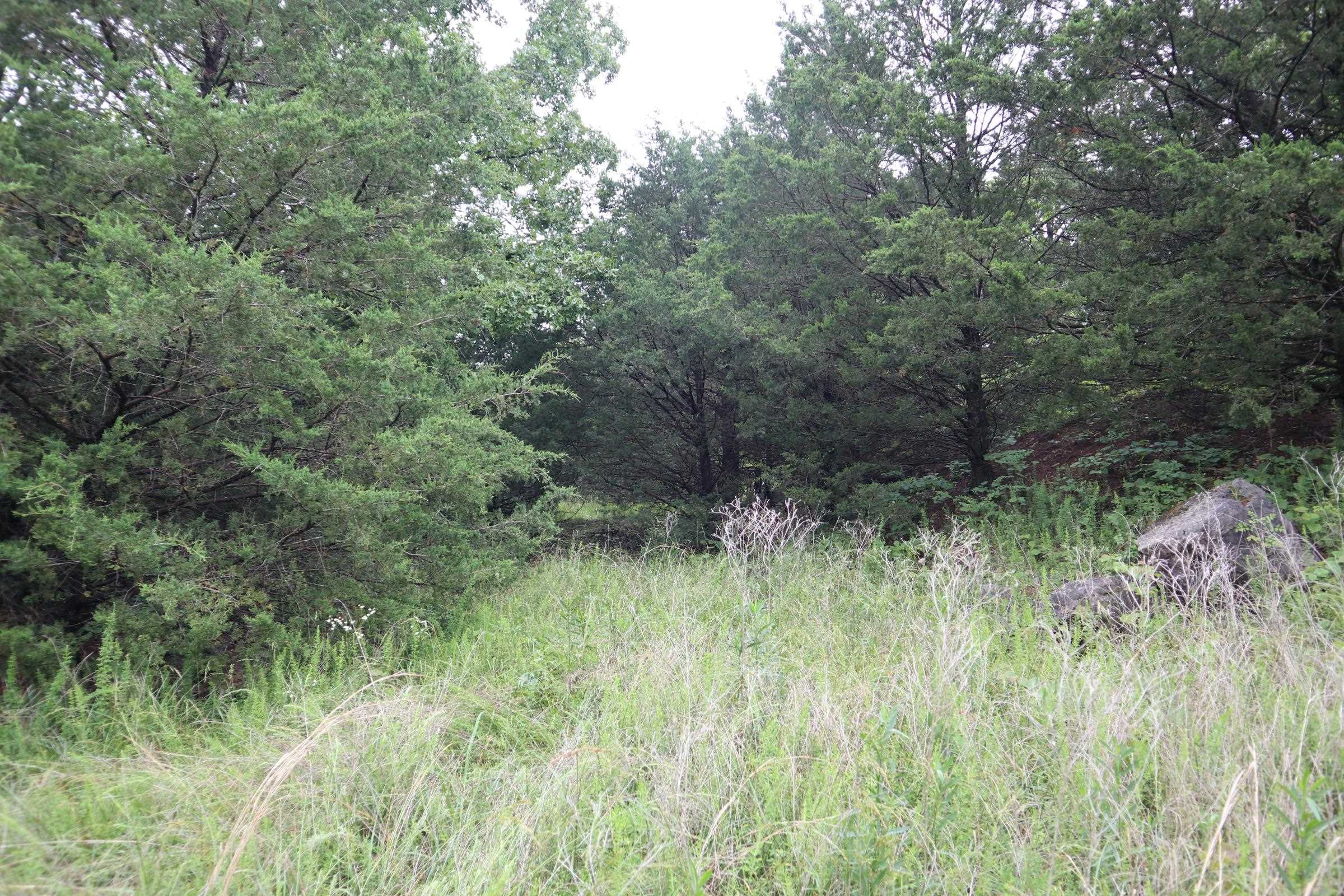 Tbd Hwy 9 S Property Photo 10