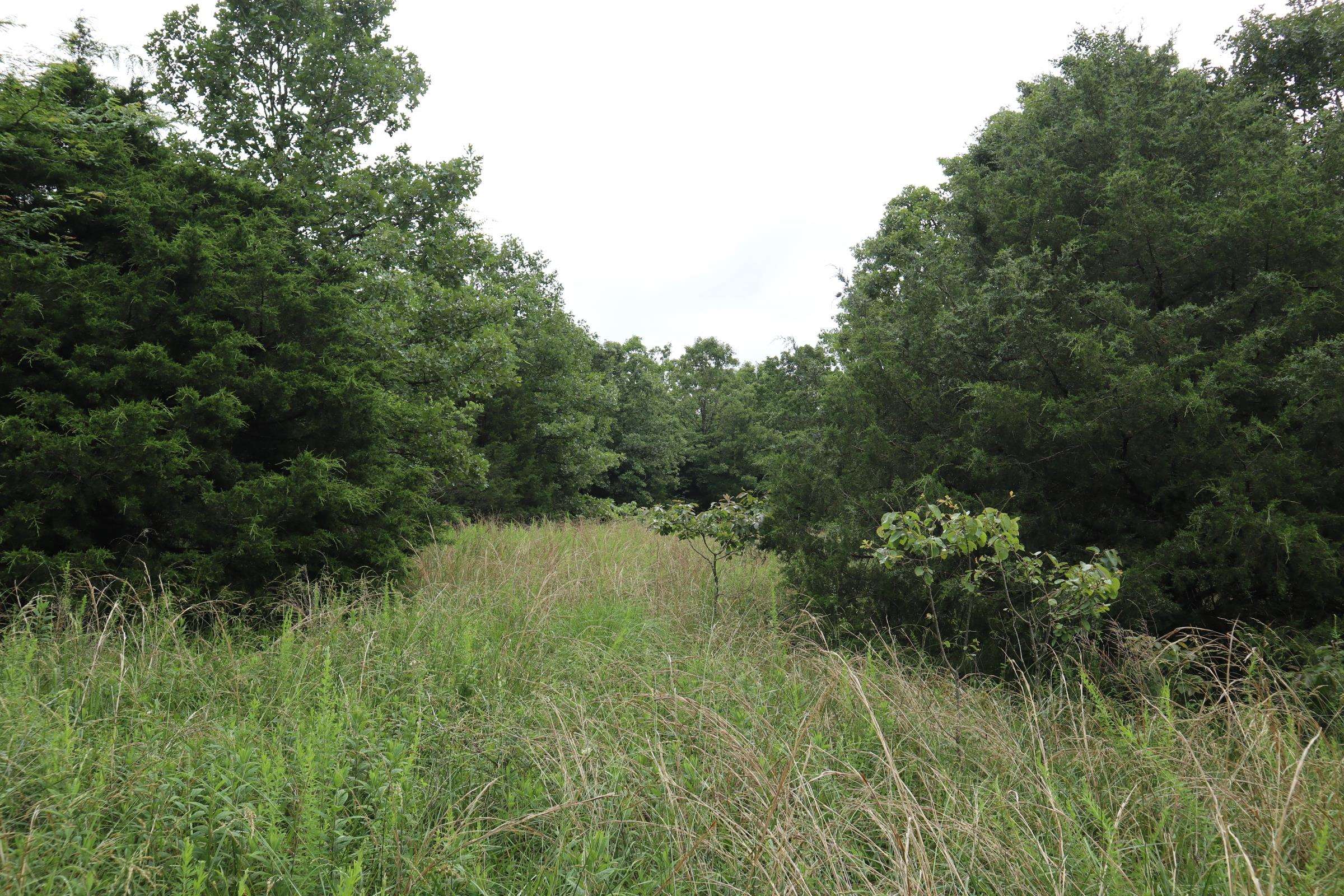 Tbd Hwy 9 S Property Photo 11