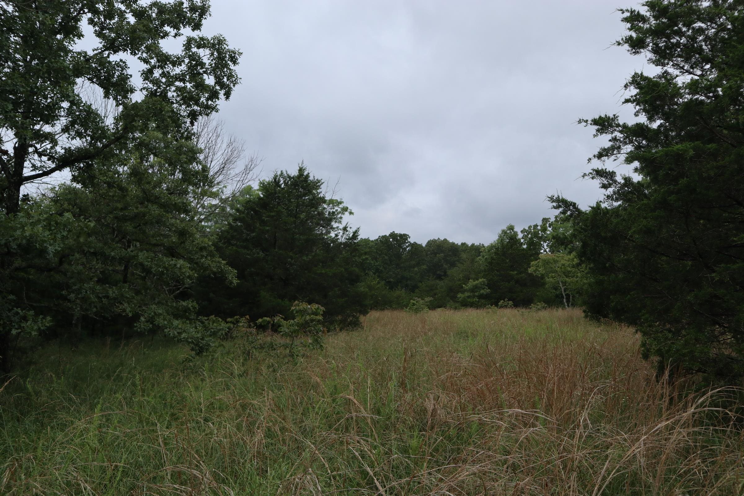 Tbd Hwy 9 S Property Photo 12