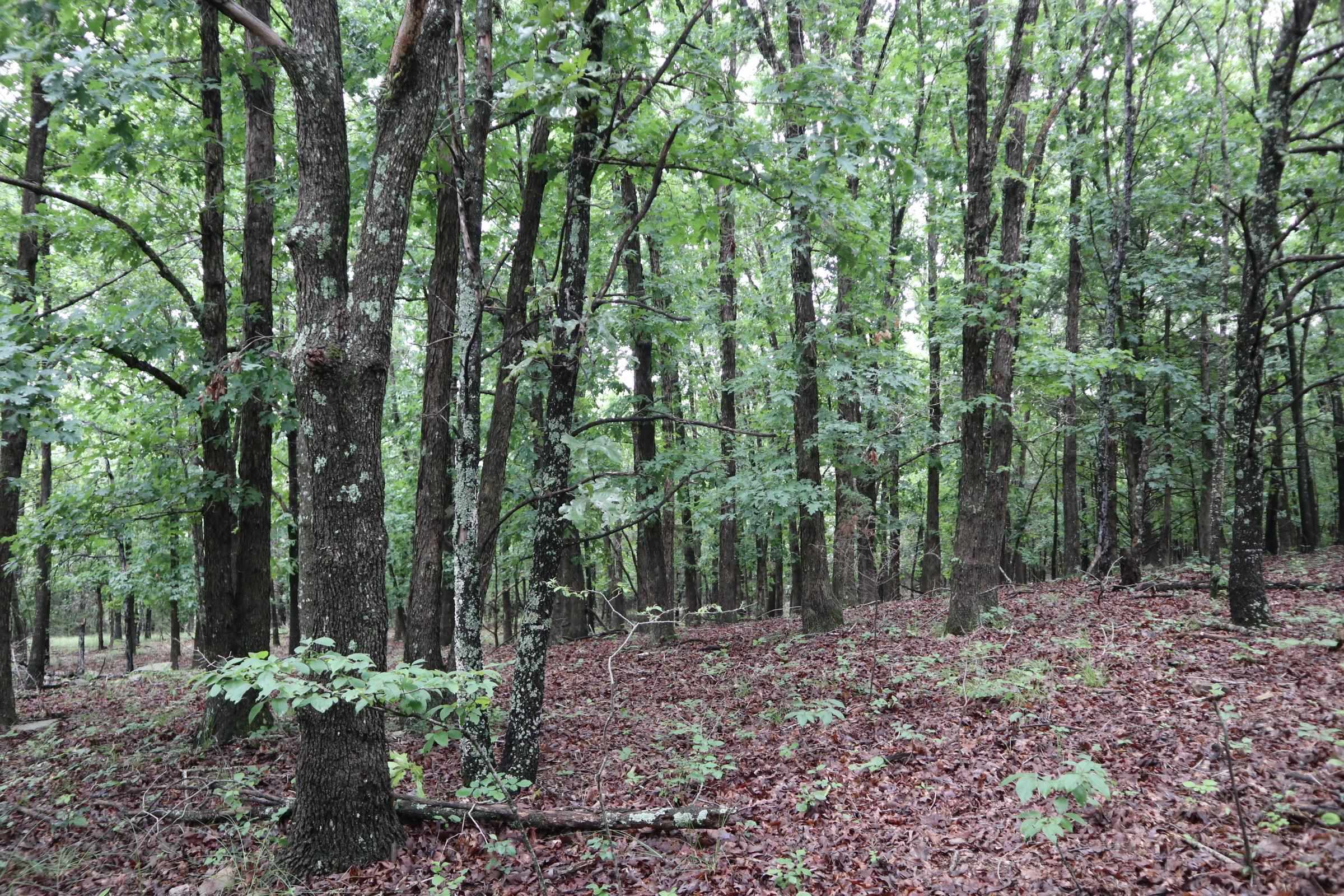Tbd Hwy 9 S Property Photo 13