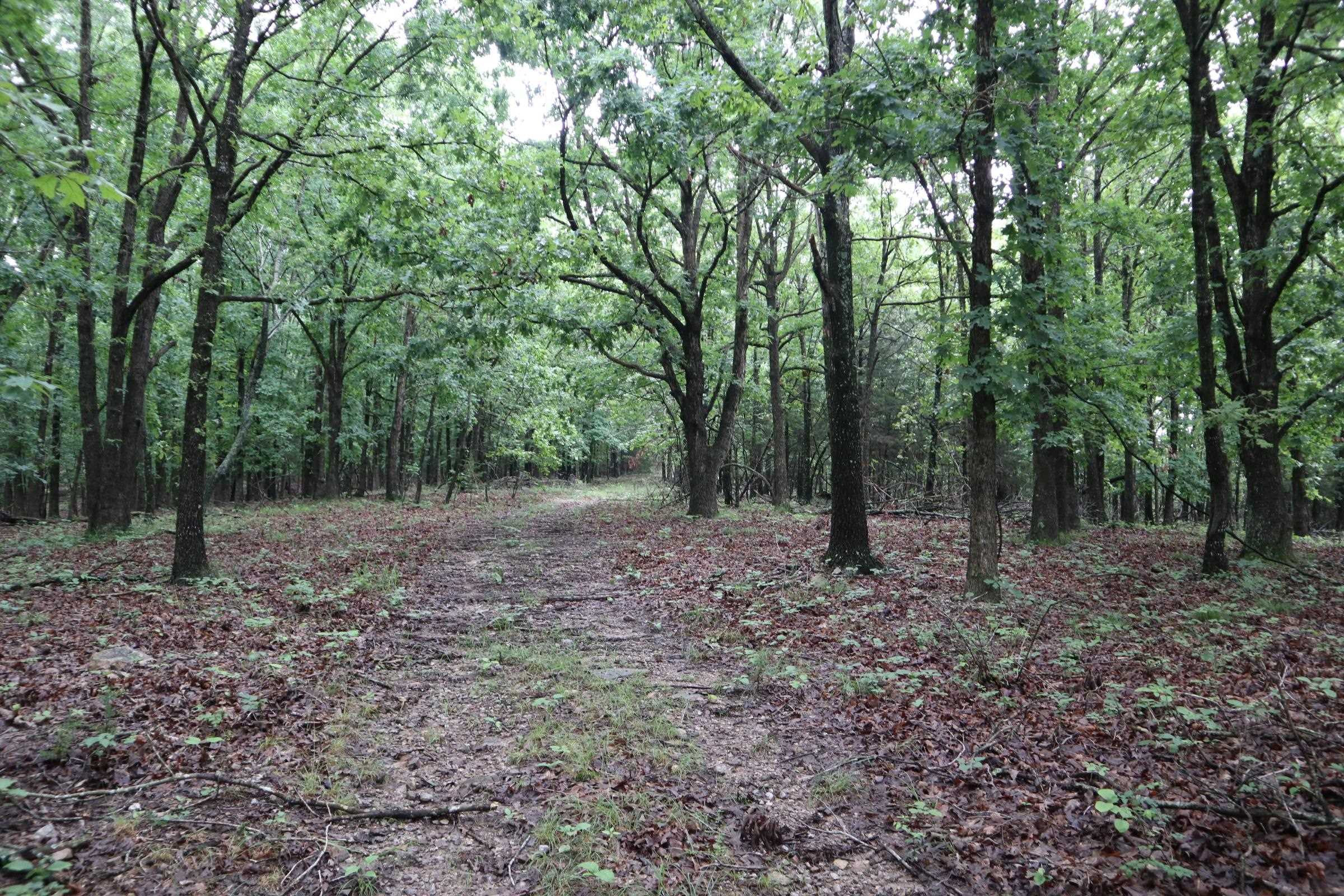 Tbd Hwy 9 S Property Photo 14