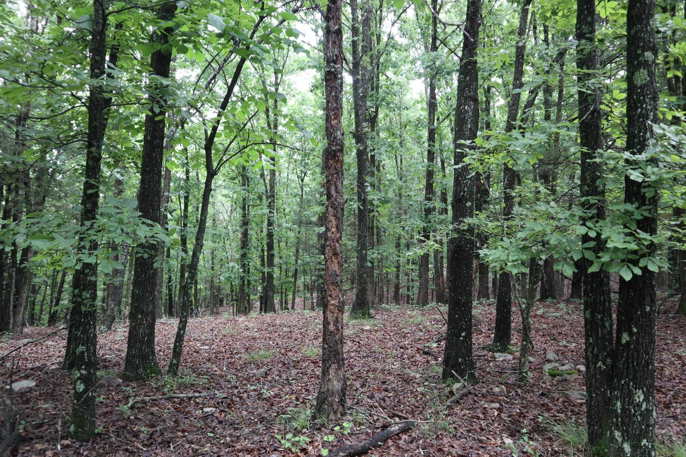 Tbd Hwy 9 S Property Photo 15