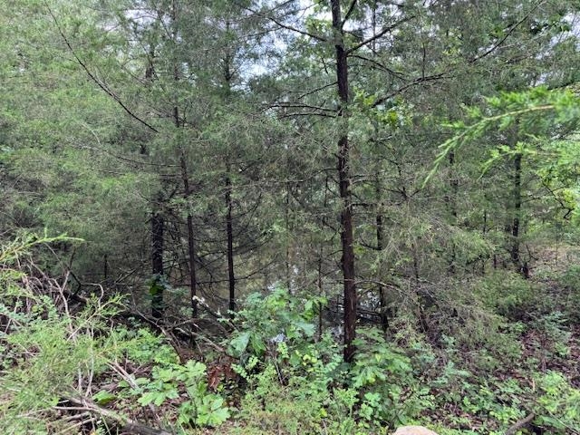 Tbd Hwy 9 S Property Photo 20
