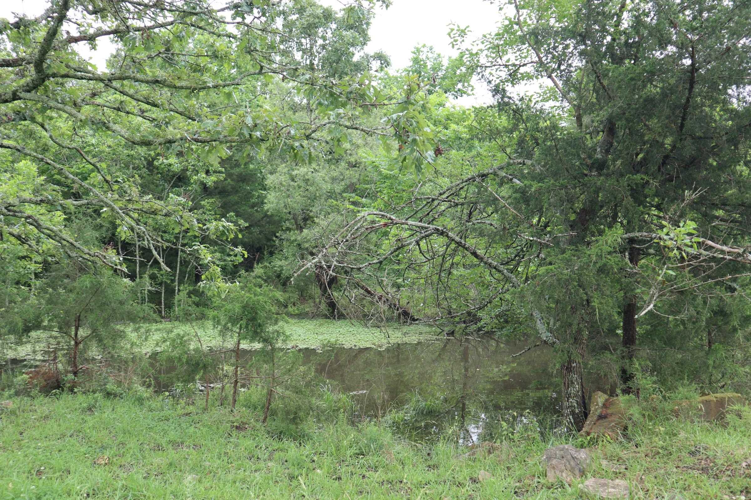 Tbd Hwy 9 S Property Photo 26