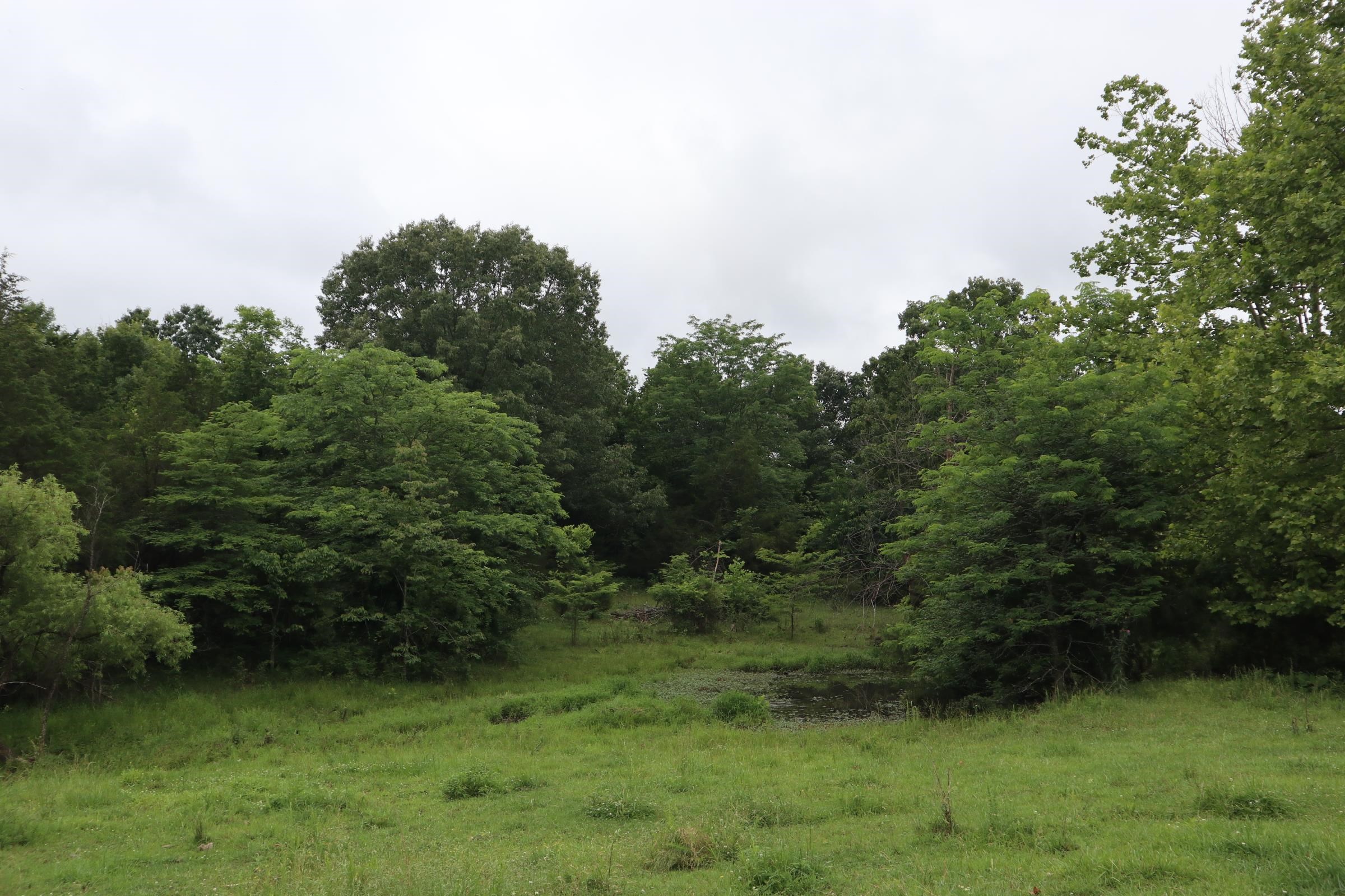 Tbd Hwy 9 S Property Photo 29