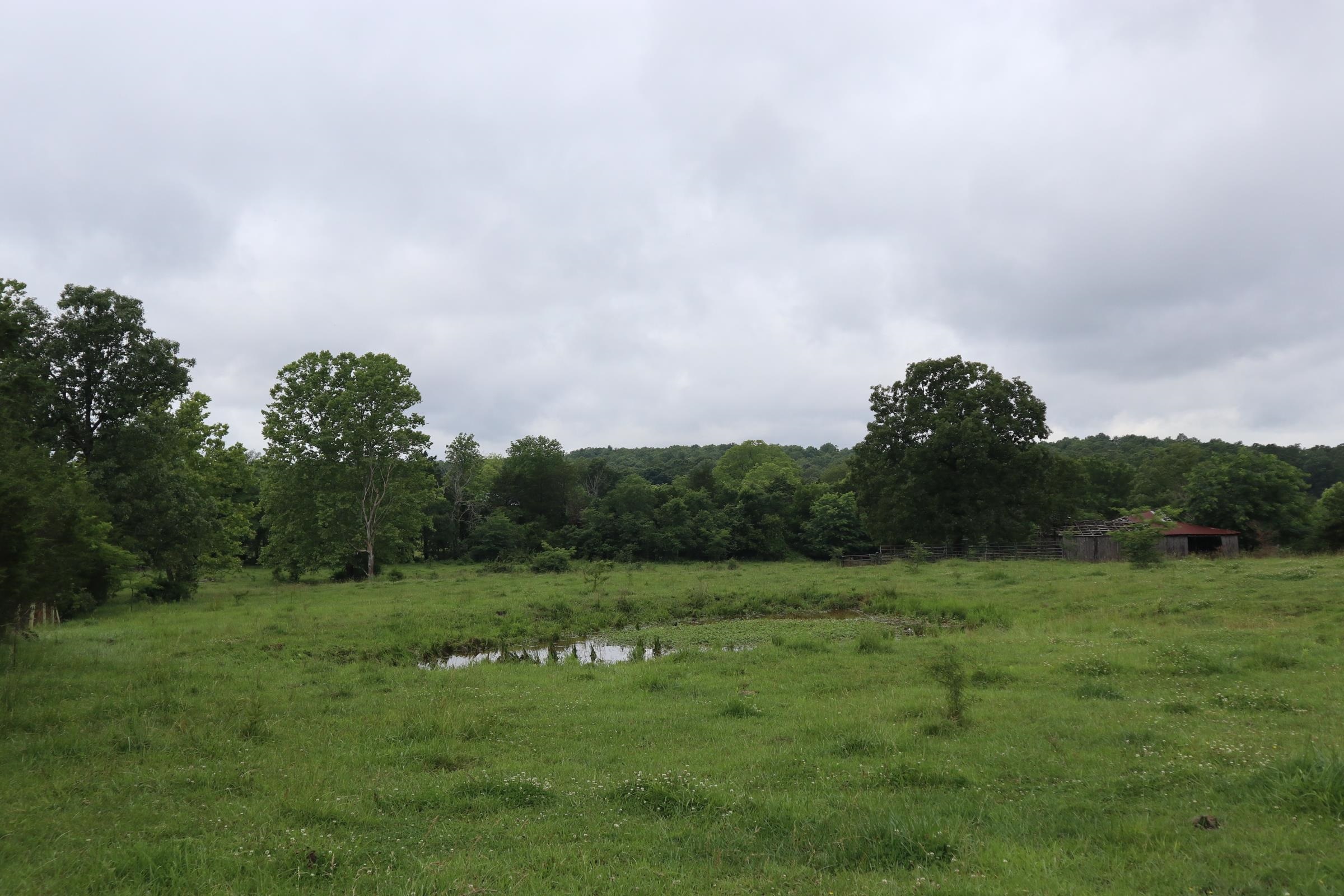 Tbd Hwy 9 S Property Photo 31