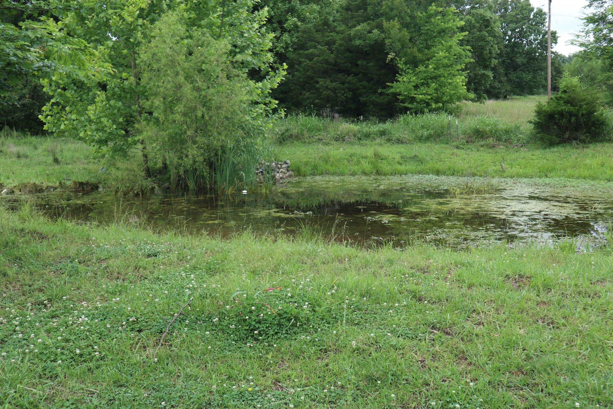 Tbd Hwy 9 S Property Photo 32