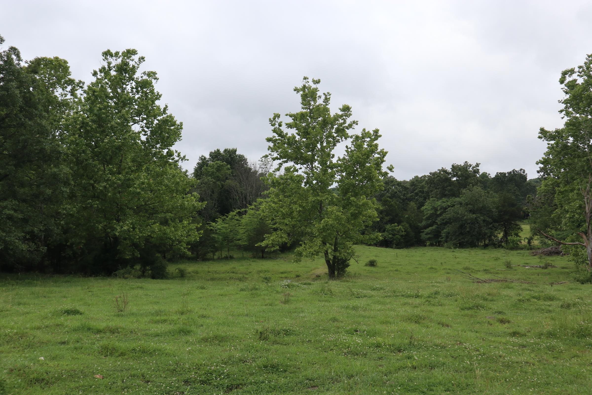 Tbd Hwy 9 S Property Photo 33