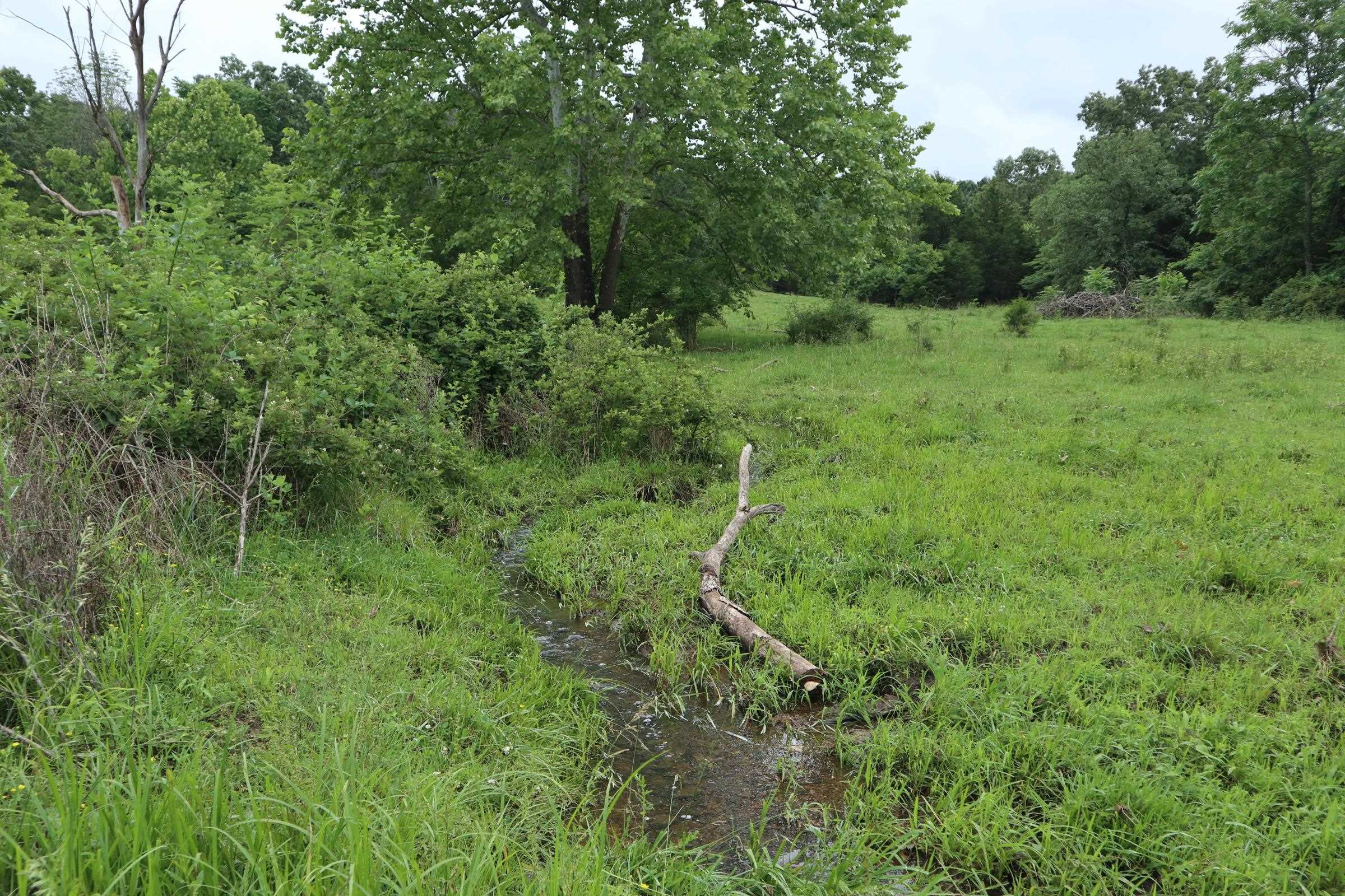 Tbd Hwy 9 S Property Photo 37