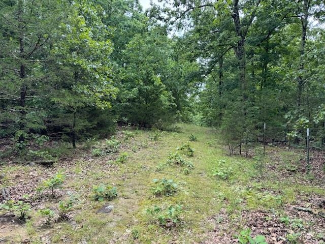 Tbd Hwy 9 S Property Photo 39