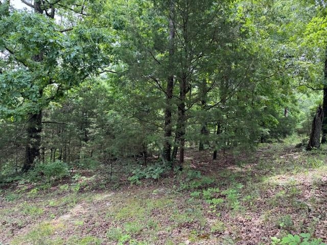 Tbd Hwy 9 S Property Photo 40