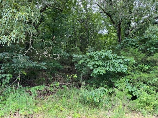 Tbd Hwy 9 S Property Photo 46
