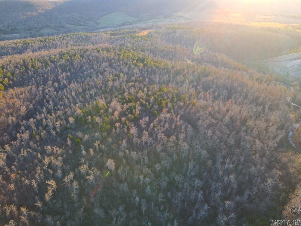 Punkin Flat Road Property Photo 2