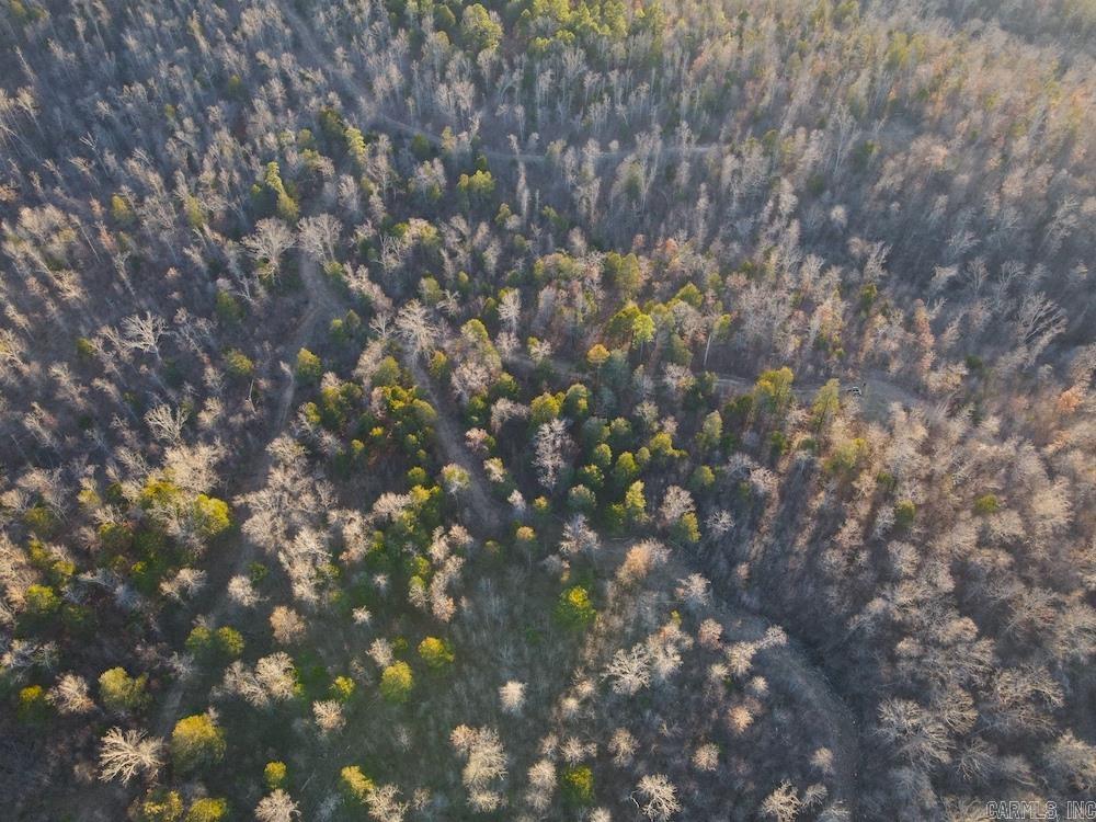 Punkin Flat Road Property Photo 6