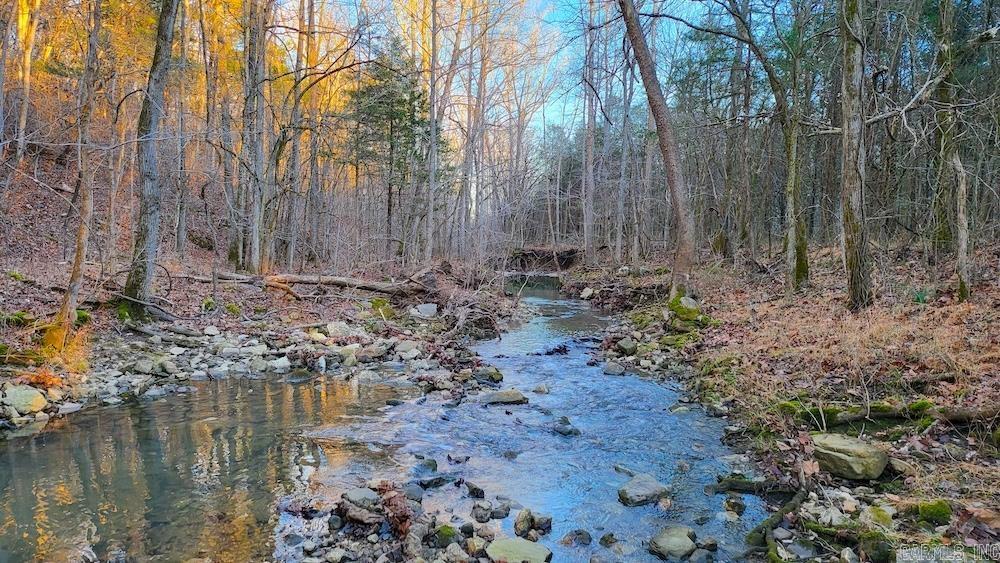 Punkin Flat Road Property Photo 7