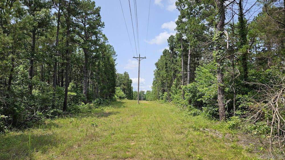 Punkin Flat Road Property Photo 9