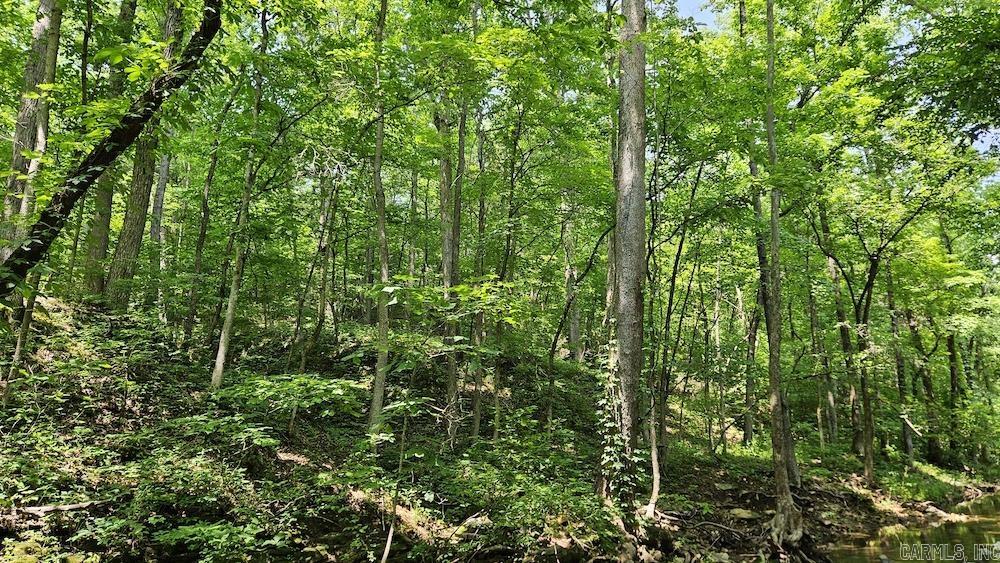 Punkin Flat Road Property Photo 10