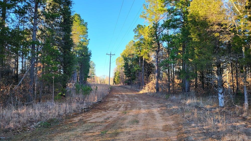 Punkin Flat Road Property Photo 11