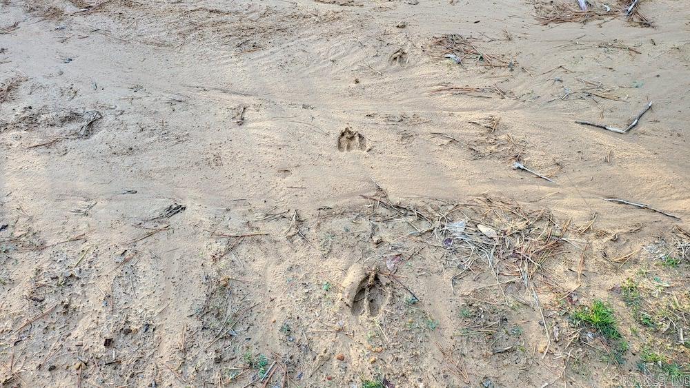 Punkin Flat Road Property Photo 12