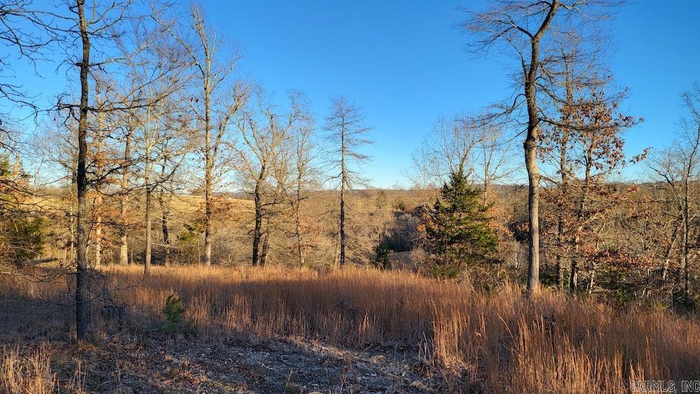 Punkin Flat Road Property Photo 14