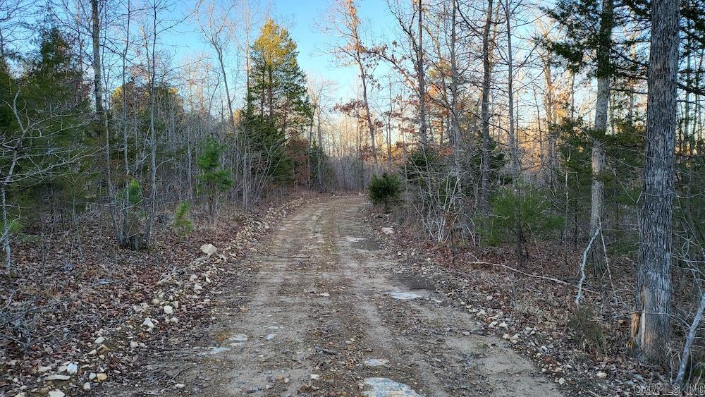 Punkin Flat Road Property Photo 15