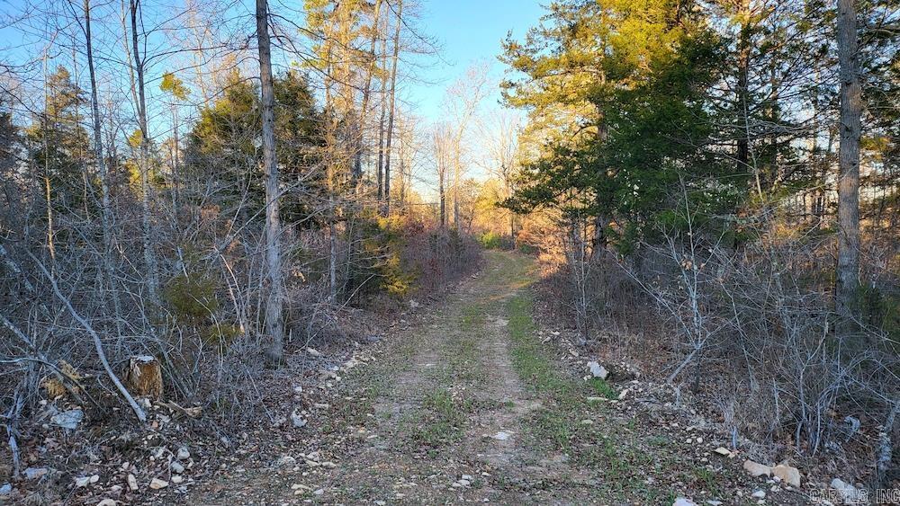 Punkin Flat Road Property Photo 16