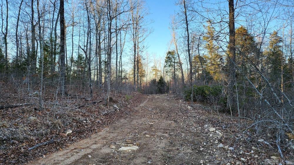 Punkin Flat Road Property Photo 17