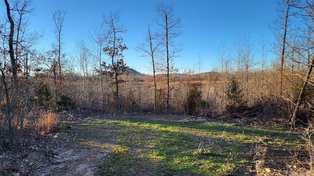 Punkin Flat Road Property Photo 18