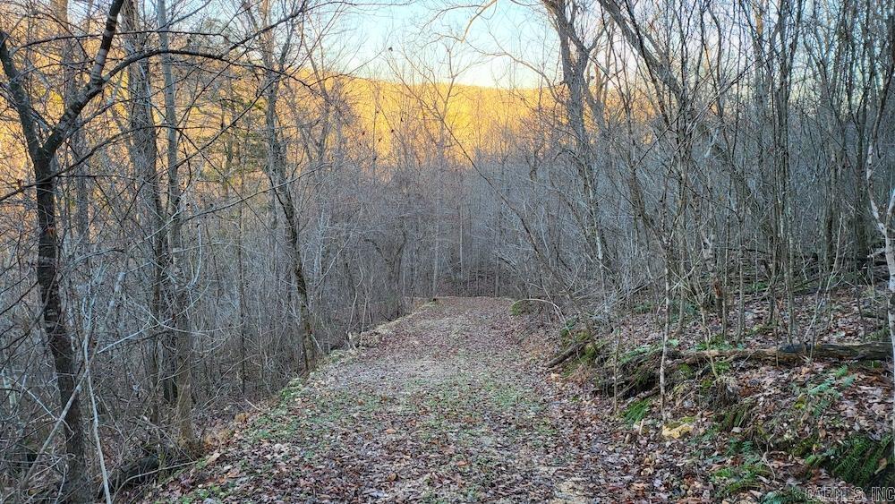 Punkin Flat Road Property Photo 19