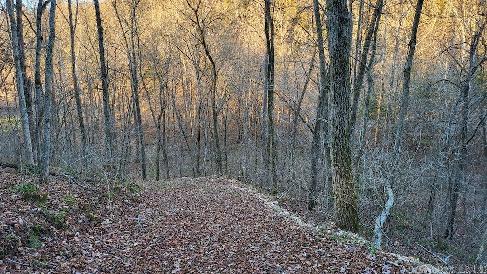 Punkin Flat Road Property Photo 20