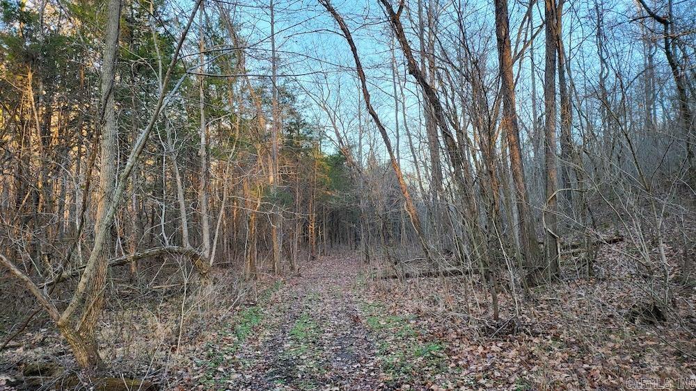 Punkin Flat Road Property Photo 21