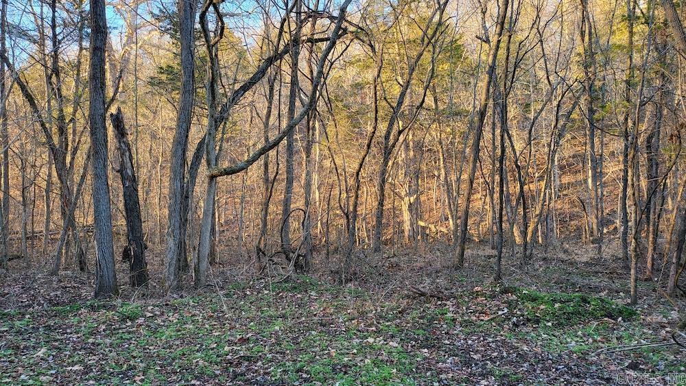 Punkin Flat Road Property Photo 22