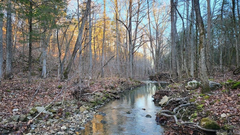 Punkin Flat Road Property Photo 24