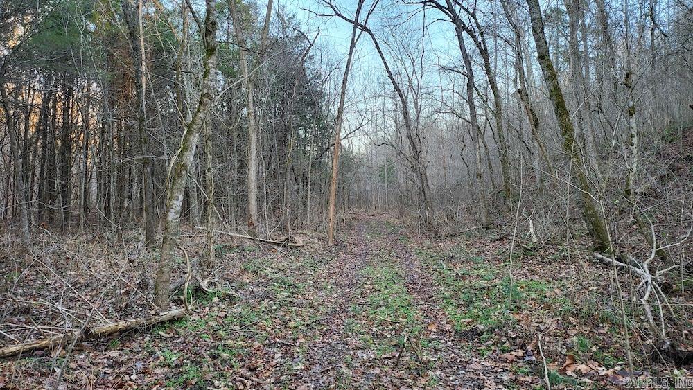 Punkin Flat Road Property Photo 26