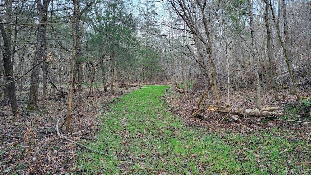 Punkin Flat Road Property Photo 27
