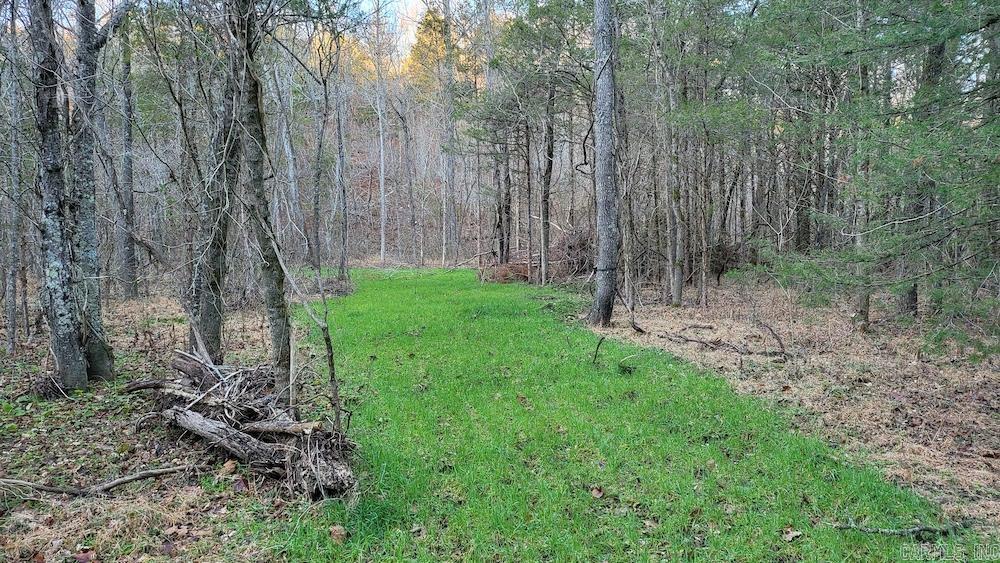 Punkin Flat Road Property Photo 28