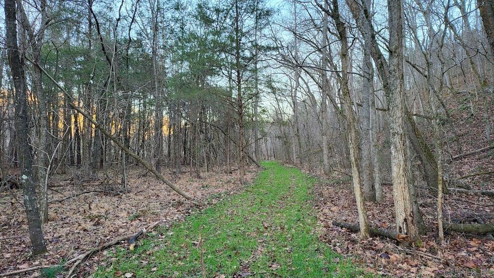 Punkin Flat Road Property Photo 29