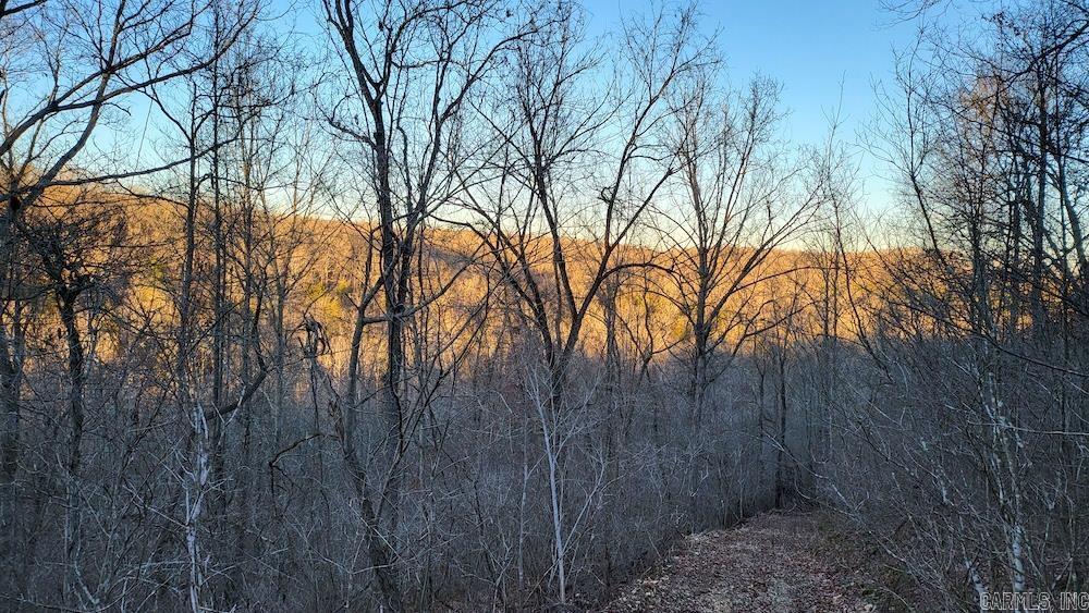 Punkin Flat Road Property Photo 30