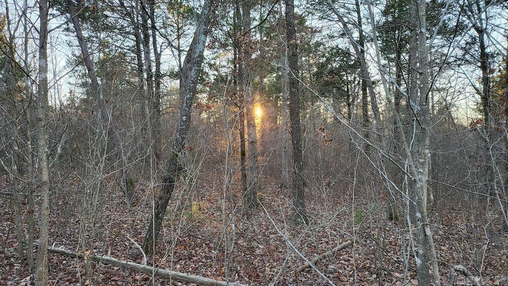 Punkin Flat Road Property Photo 31
