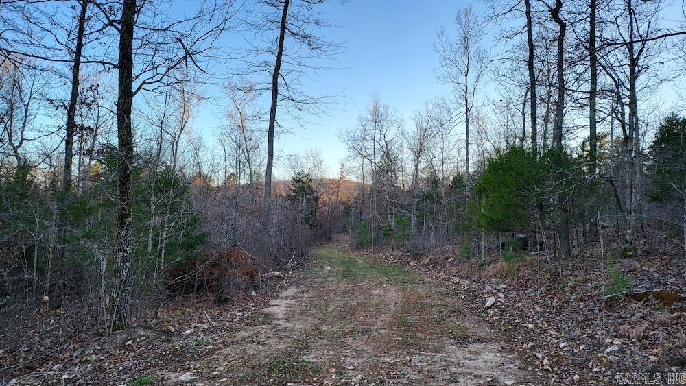 Punkin Flat Road Property Photo 33