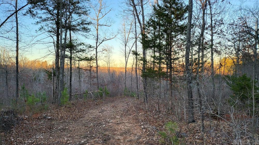 Punkin Flat Road Property Photo 34