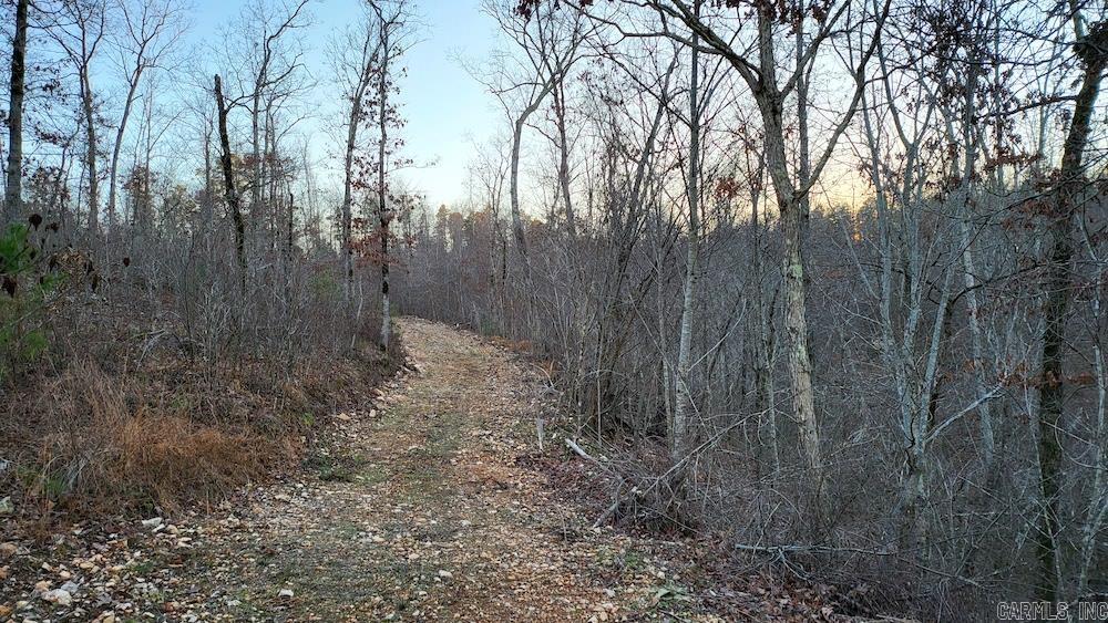 Punkin Flat Road Property Photo 35
