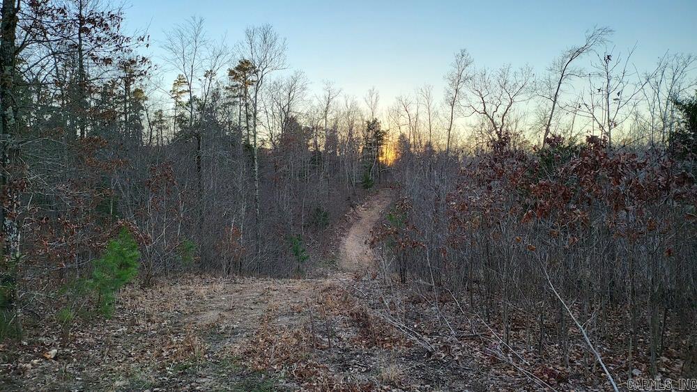 Punkin Flat Road Property Photo 36